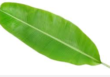 banana leaf massage
